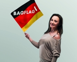 Kandinsky Deutschland GmbH Bagflag 02 Bildrechte BF Innovation 250x220 250x202 - Kandinsky: Neue Vertriebsrechte